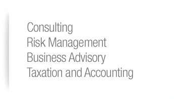 Consulting, Risk Management, Business Advisory, Taxation and Accounting